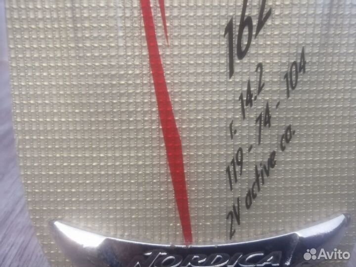 Горные лыжи