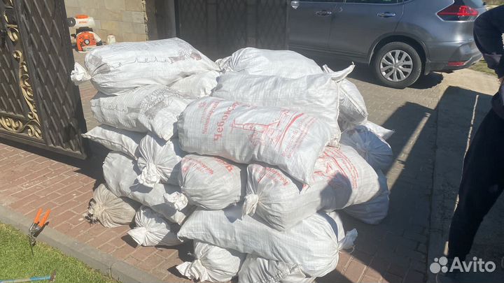 Кора сосны крупная