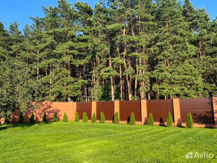 Семена газона низкорослого