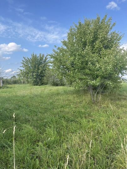 Участок 8,3 сот. (ИЖС)