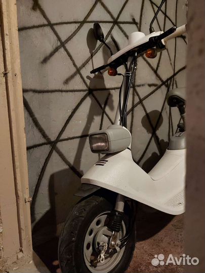 Honda zook