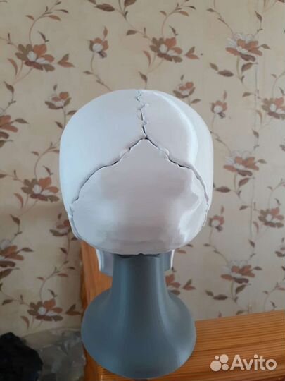 Череп анатомический