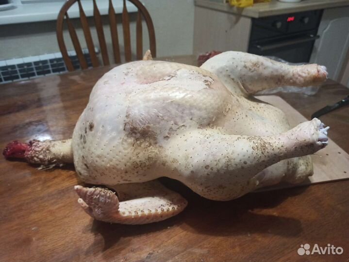 Мясо индейки
