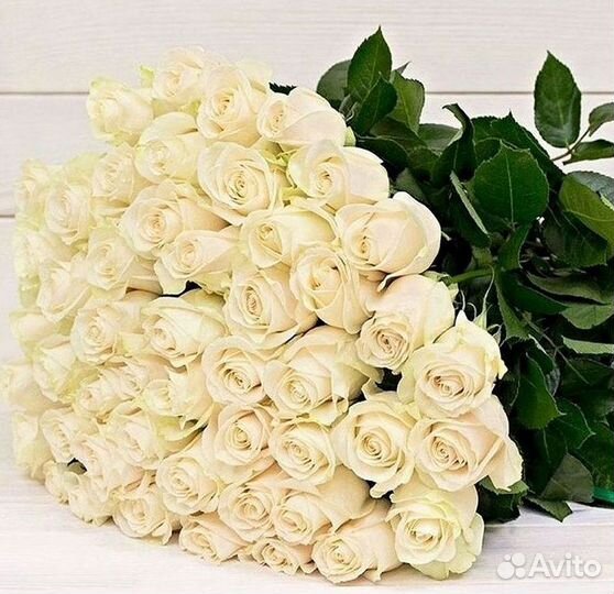 Розы Высокие Розы Гиганты Доставка Москва