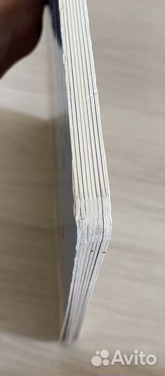 Летняя книга Бернер