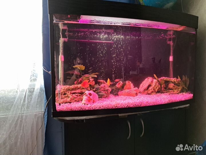 Продаю аквариум 140л и панорамный аквариум 180л
