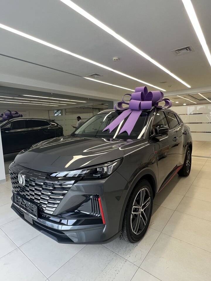 Changan CS55 Plus: фото владельца