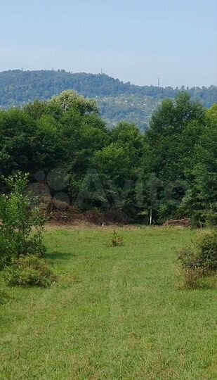 Участок 6,2 сот. (СНТ, ДНП)