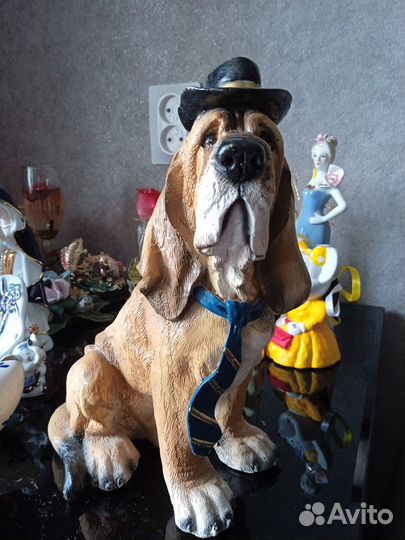 Собаки: бассет-хаунд и бульдог