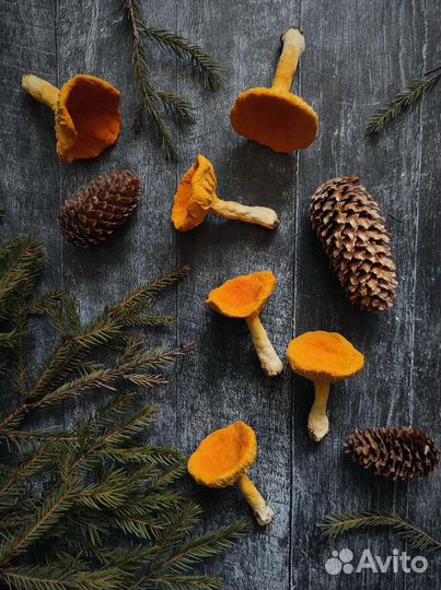 Ватные грибочки на елочку