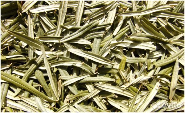 Лист смородины, малины, мелиссы, сборы и др