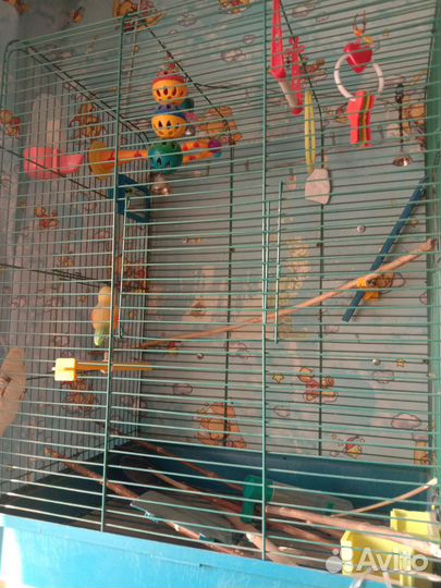 Клетка для попугаев