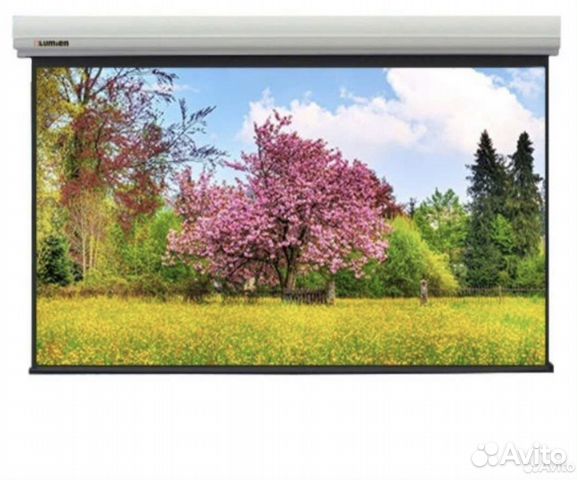 150” Экран для проэктора Lumien с электроприводом купить в Курске ...