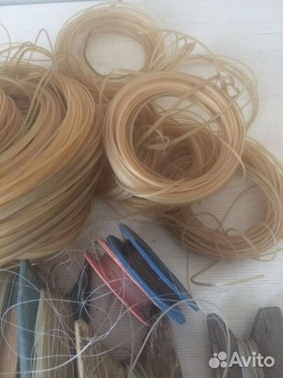 Леска рыболовная