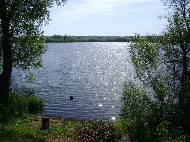 Участок 24 сот. (ИЖС)