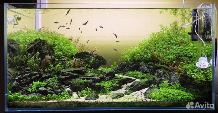 Обслуживание аквариумов