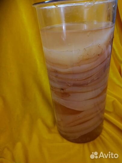 Чайный гриб (Комбуча)