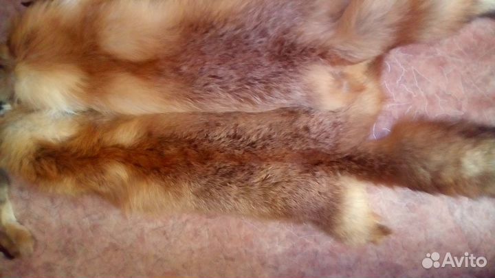 Шикарные шкуры лисы