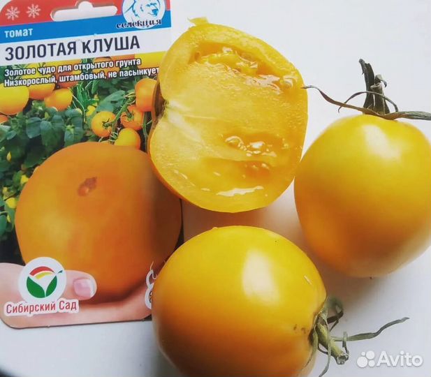 Рассада помидор, перца, капусты