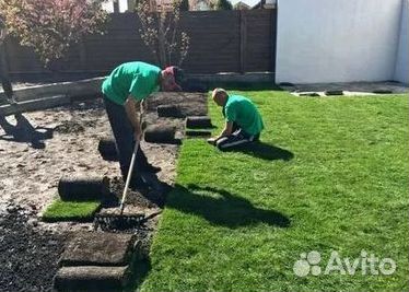 Газон рулонный гарантия