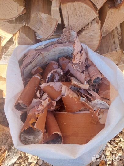 Береста для розжига