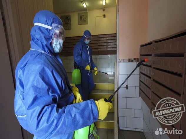 Уничтожение клопов тараканов дезинфекция плесени