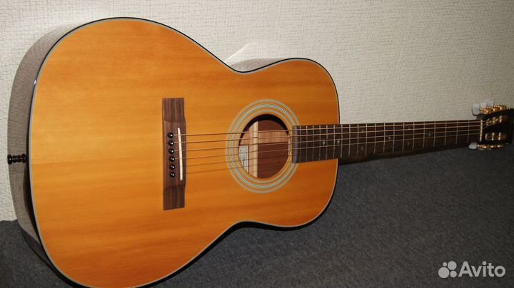 Takamine TSN-500, Japan. Массив. Видео