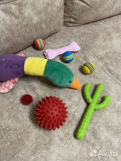 Игрушки для собак новые