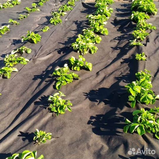 Принимаем спанбонд нетканое пп полотно