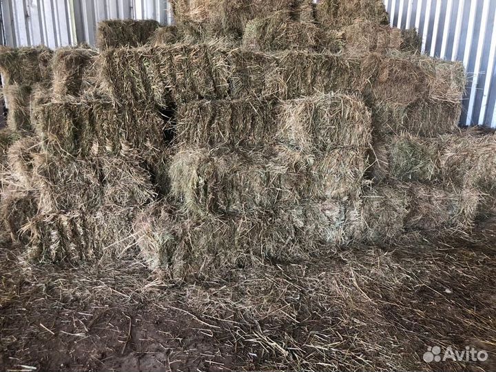 Сено луговое