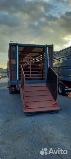 Перевозка крс коров