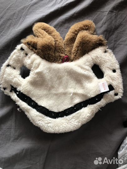 Одежда для карликового шпица