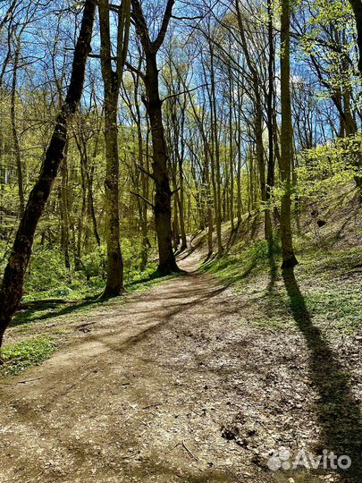 Индивидуальная экскурсия, тур в Горячий ключ