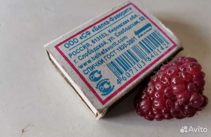 Гортензия Анабель,малина Атлант, Новость Кузьмина