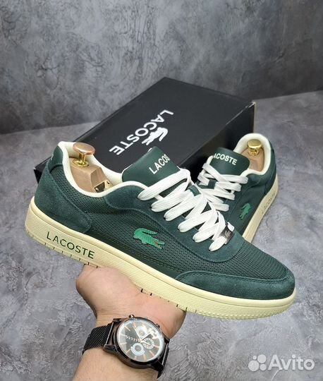 Красовки мужские Lacoste