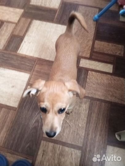 Маленькая девочка