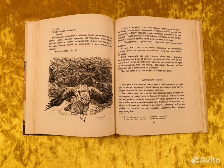 Пришвин В краю дедушки Мазая 1975