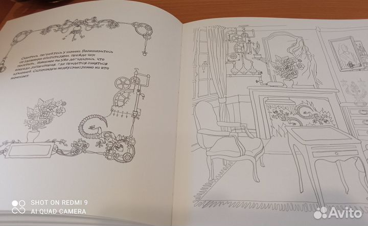 Книга-раскраска. Мистификации