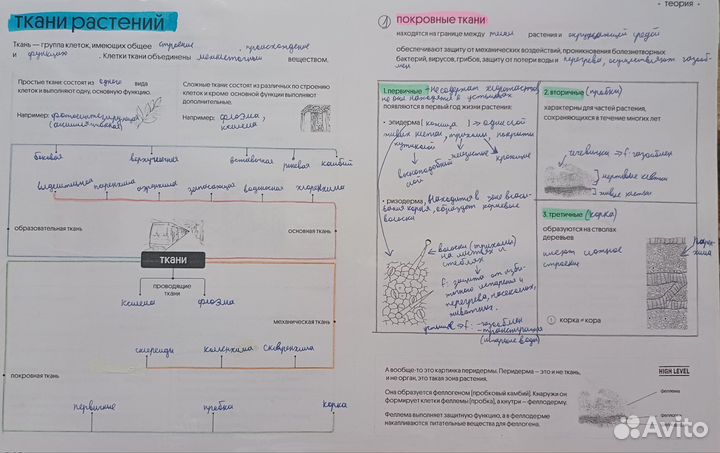 Курсы по подготовке к егэ по биологии