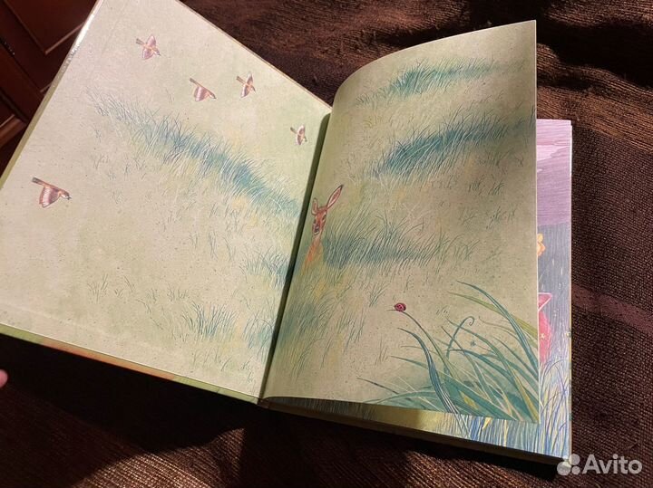 Бемби Зальтен