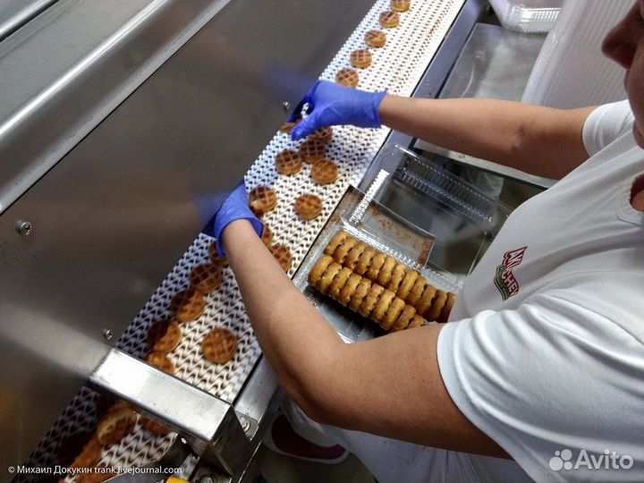 Пекарь на выпечку