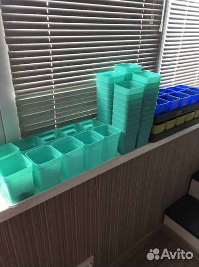 Стаканы для рассады