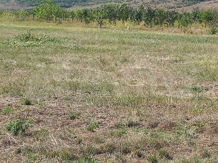 Участок 2 га (СНТ, ДНП)