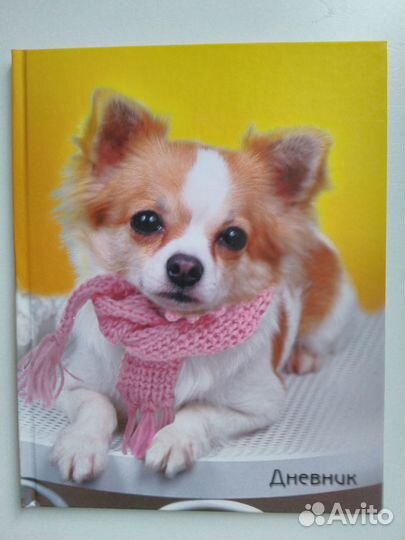 Дневник школьный