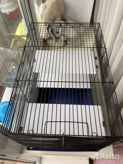 Клетка для грызунов, пересноска и домик-спутник