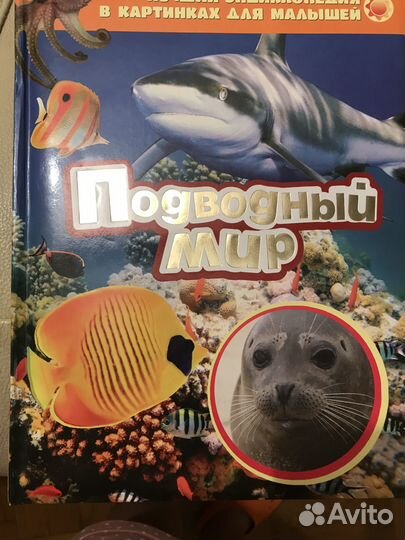 Подводный мир книга с картинками