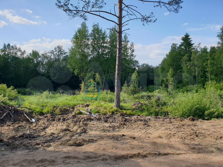 Участок 10,6 сот. (ИЖС)