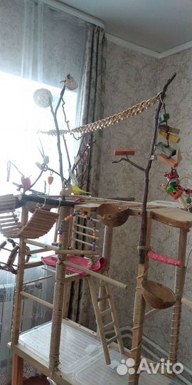 Игровой стенд для попугая