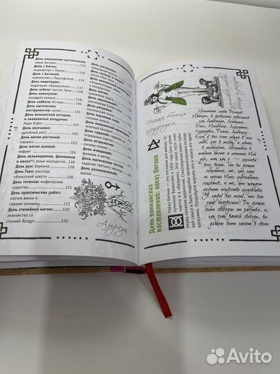 Книга теней. Викка