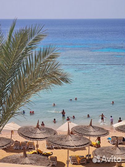 Тур в Египет/путевка из Сочи в Хургаду и Шарм-Эль